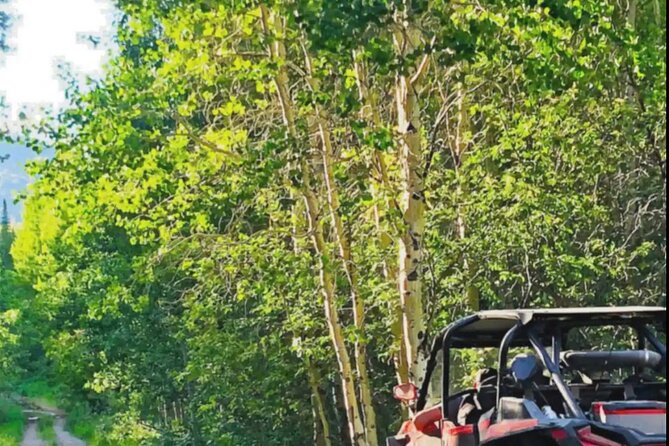 UTV Tour of Sawtell Peak - Tour Overview