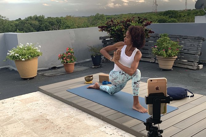 Virtual Private Yoga, Relaxation or Meditation Class (English,Français,Español)