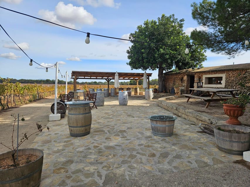 VISIT BODEGAS BORDOY, TASTING 5 WINES, FINGER FOOD