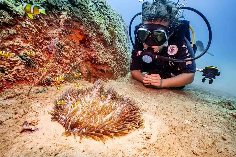 Visit Cham Islands & Snorkelling & Scuba Diving