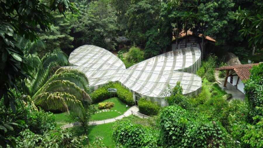 Walking Tour José Celestino Mutis Botanical Garden 3 Hrs - Overview of the Botanical Garden