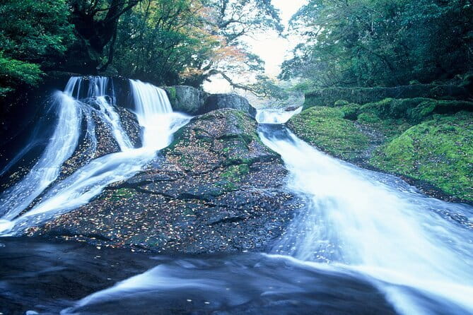 Walking With a Guide Through the Kikuchi Valley - Meeting and End Points