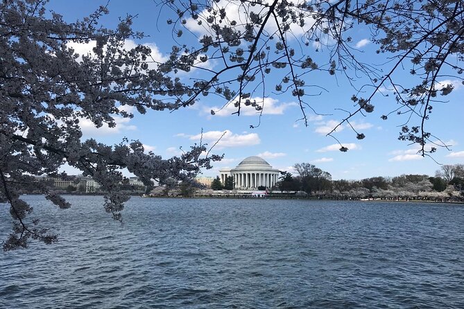 Washington D.C. Cherry Blossom 1-Day Tour From New York