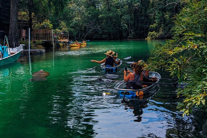 Weeki Wachee Clear Kayak Ecotours Manatee Season – November 14th-March 31st