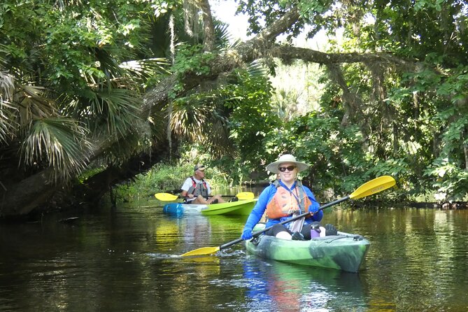 Wekiva River Kayak Tour Review - Overview of the Wekiva River Kayak Tour