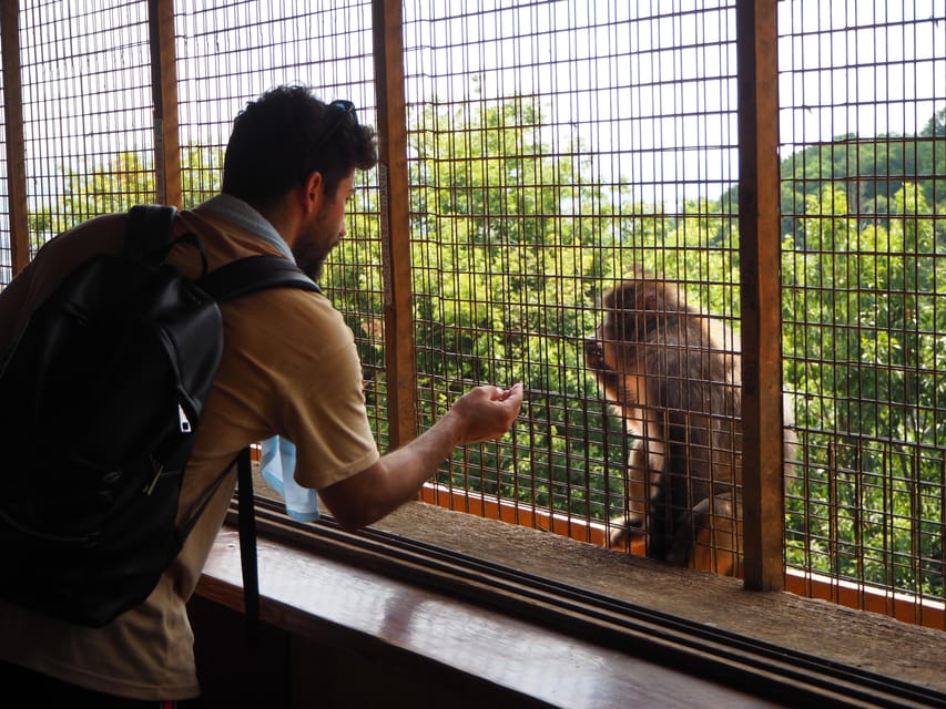 West Kyoto & Arashiyama: Walking Tour W/Matcha & Calligraphy