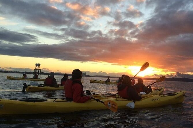 West Seattle Sunset Sea Kayak Tour Review - Booking Process and Pricing Details