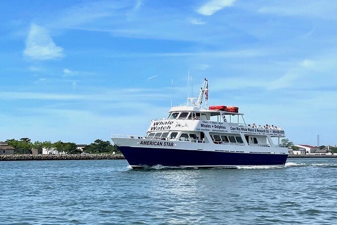 Whale Dolphin and Bird Watching Ecotour Cruise