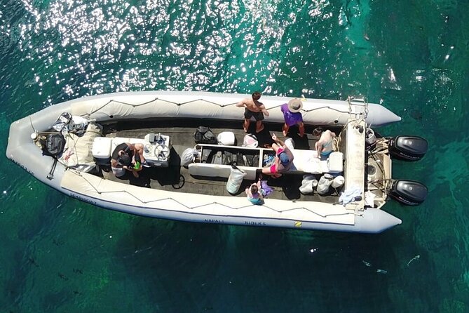 Whale Watching Expedition on Kauai