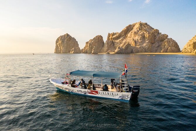 Whale Watching Tour in Cabo San Lucas