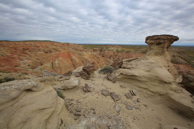 Wild Mustang Half Day Tour - Cody Wyoming - Private - Tour Overview