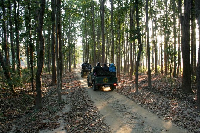 WildlifeSafari in Tadoba, Pench, Kanha & Bandhavgarh NationalPark