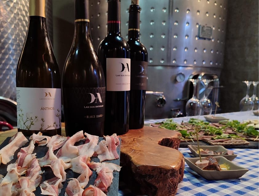 Wine and Food Pairing Tasting Las Dos Antiguas- Artisan Winery Segovia