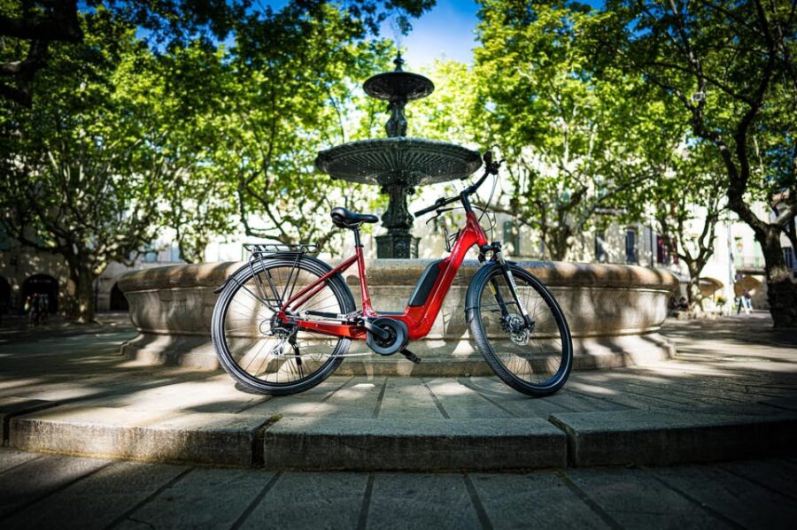 Wine of Provence by E-Bike… Not to Be Missed !