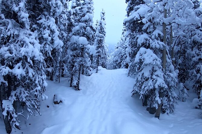 Winter Valley and Forest Hike - Overview of the Hike