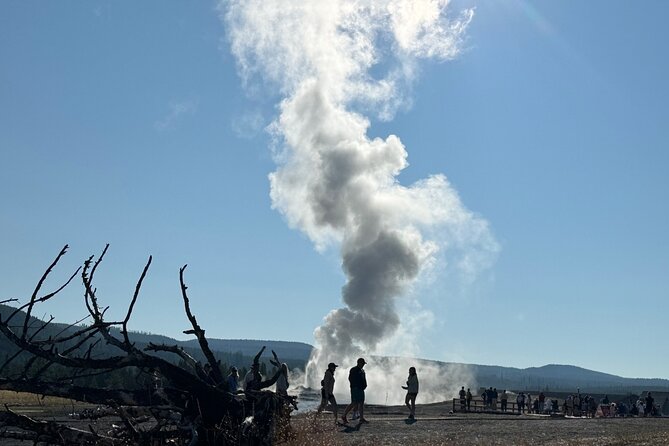 Yellowstone the Volcano All-Inclusive Lower Loop Pu@Cody Wyoming - Tour Overview and Pricing