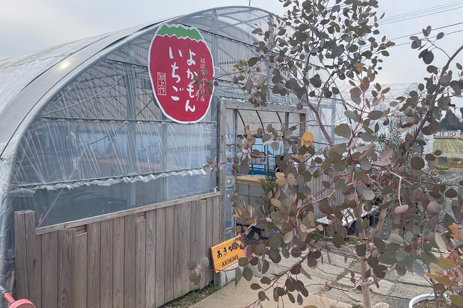 YokaBus 2 Hour Strawberry Feast Healthy Lunch Sakura Dyeing Tour - Tour Overview