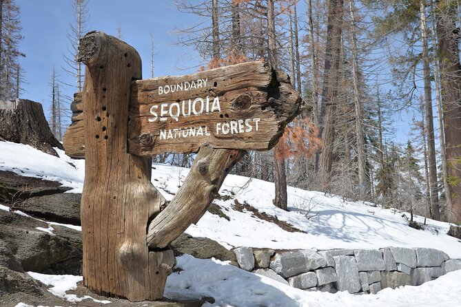 2 Days Private Tour to Sequoia and Kings Canyon Parks From LA - Key Points