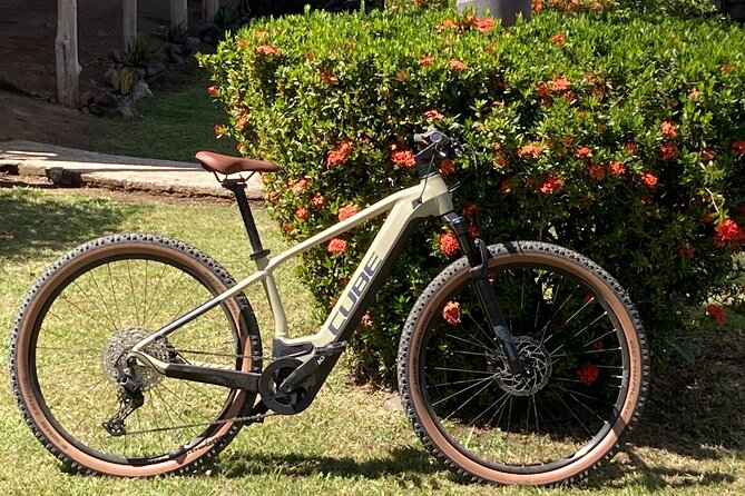 24-Hour Motorbike Rental in Playas Del Coco