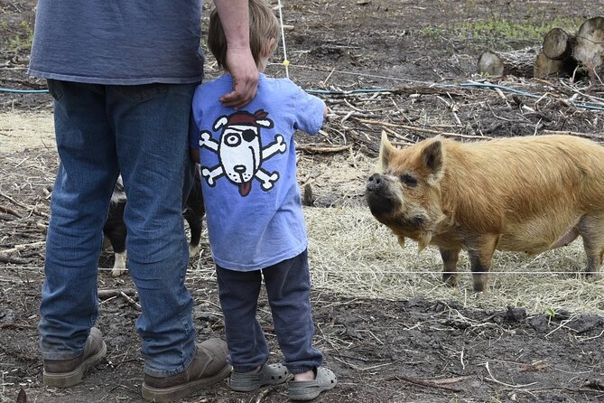 1.5 Hour Immersive Farm Experience Review - Meeting Point and Start Time Information