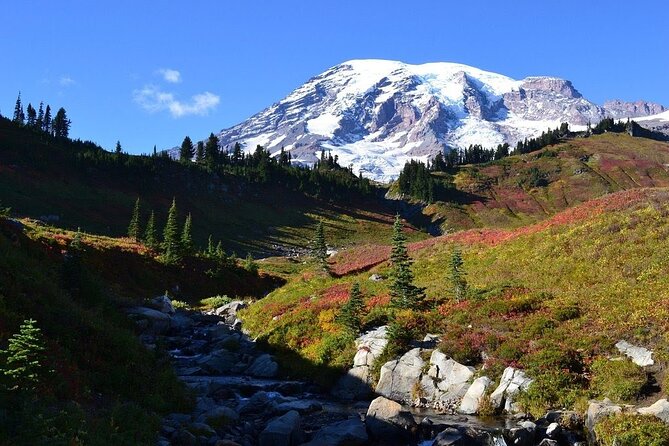 2 Day Mt Rainier All-Inclusive Tour Review - Pickup and Transportation Details