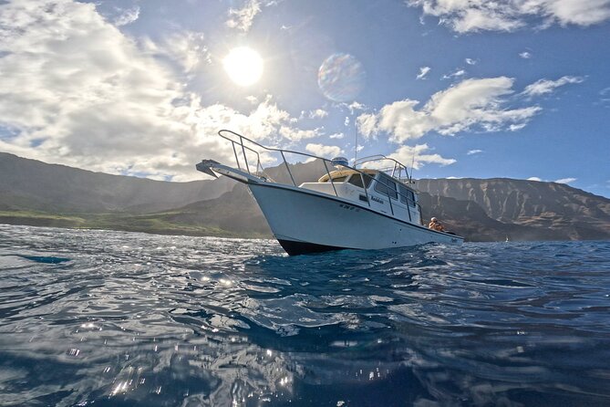 2 Tanks Scuba Dive Kauai From a Boat - Preparing for the Scuba Dive Adventure