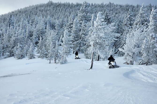 4-Hour Guided Scenic Snowmobile Tour Review - What to Expect on Your Snowmobile Tour
