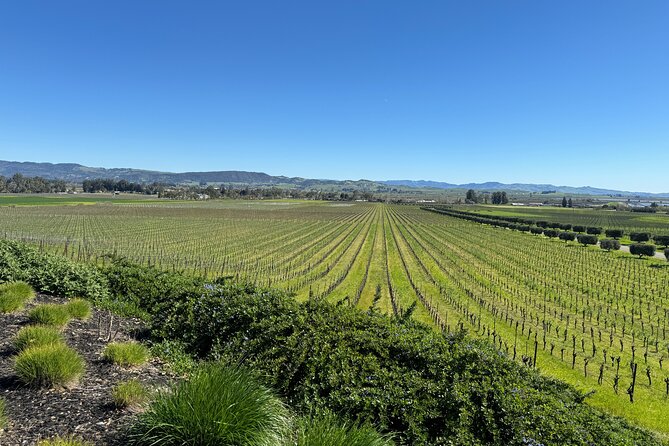 6 Hour Custom Napa or Sonoma Private Wine Tour - Inclusions and Pickup Details