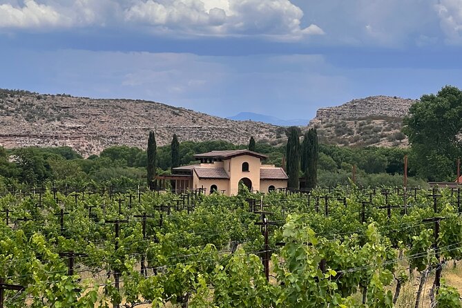 Alcantara Estate Vineyards Tasting Experience Review - Details of the VIP Tasting Tour
