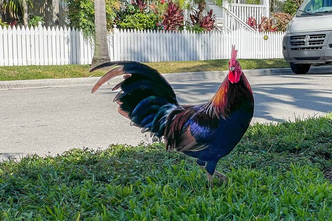 An Audio Guide of Key West's Journey From Village to Micro State - The Development of Key Wests Economy