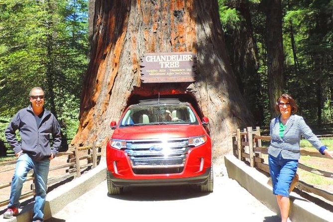 Avenue of the Giant Redwood Private 1 Day Tour From San Francisco - Participant Information
