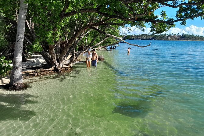 Bayside Market Place Snorkeling for Beginners - Meeting Point and Check-in Process