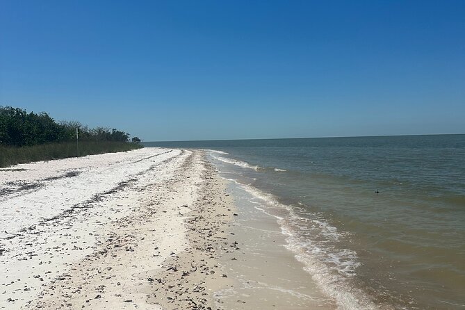Beach and Shelling Excursion - Public - Booking Details
