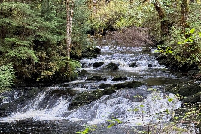 Beautiful Hike on Tongass National Forests Lunch Creek Trail - Preparing for the Hike: What to Expect