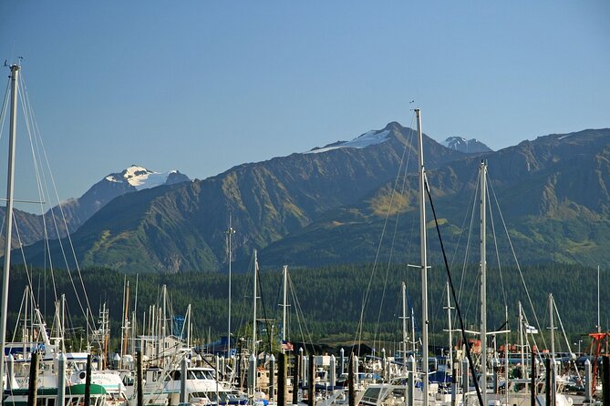 Best of Seward Alaska Full Day Tour - Inclusions
