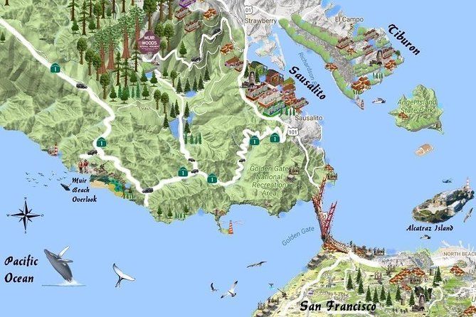 Best San Francisco, Muir Woods & Sausalito Tour Review - Detailed Look at the Itinerary Options
