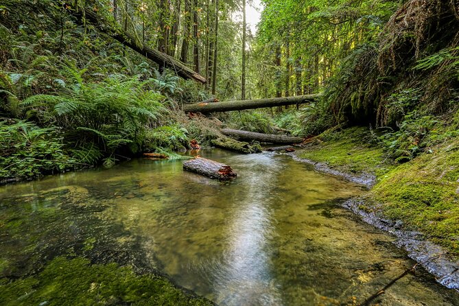 Big Sur California Coast One Day 10 Hour Charter - Included Services