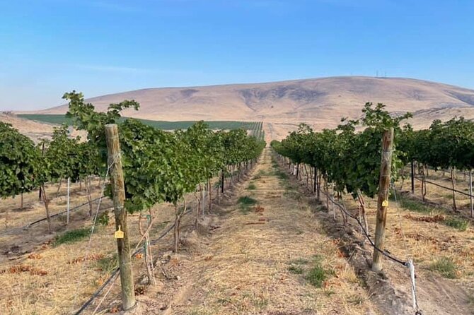 Bodacious Bordeaux Wine Tasting Pass in Woodinville - Complimentary Tasting Flights at Featured Wineries