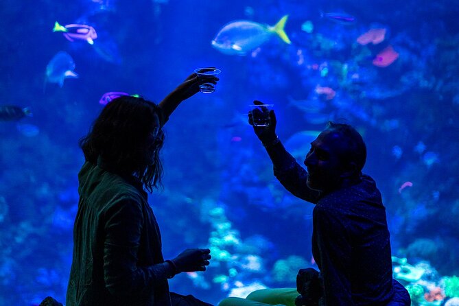 California Academy of Sciences NightLife Review - Perks of the VIP Package