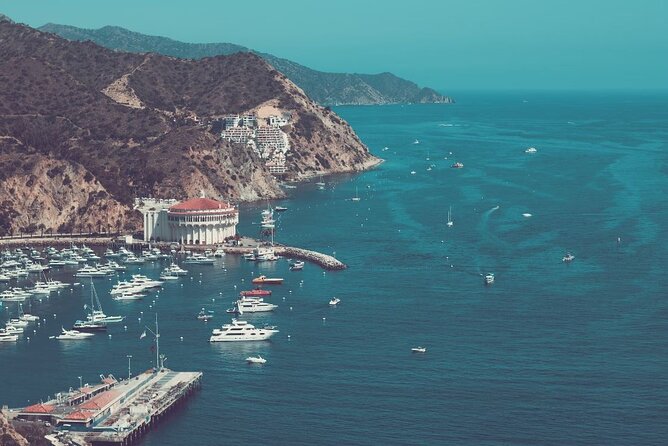 Catalina Island Ferry Review: Worth the Trip - Onboard Amenities and Services