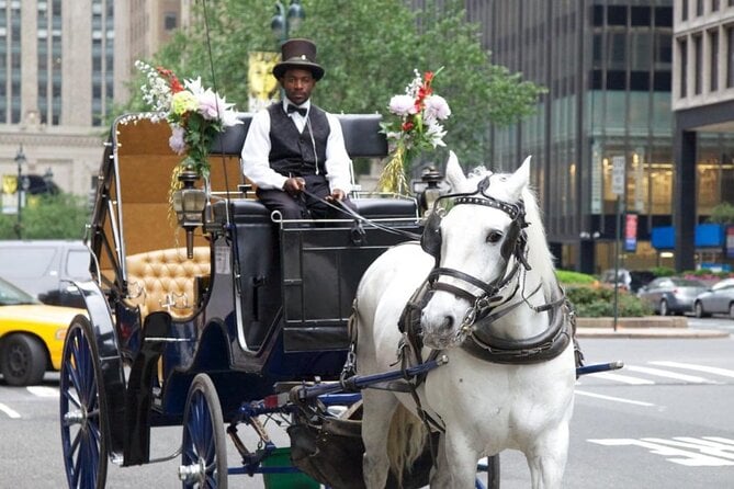 Central Park and NYC Horse Carriage Ride Review - Meeting and Pickup Details