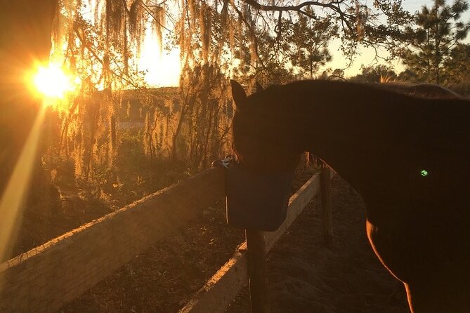 Champagne and Charcuterie Sunset Trail Ride Review - Booking and Preparations