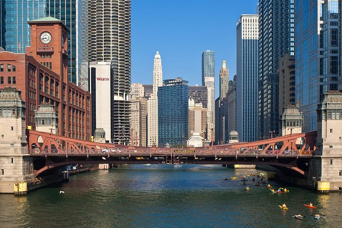 Chicago Airport Transfer: OHare Airport ORD to Chicago in Luxury SUV - Vehicle and Amenities