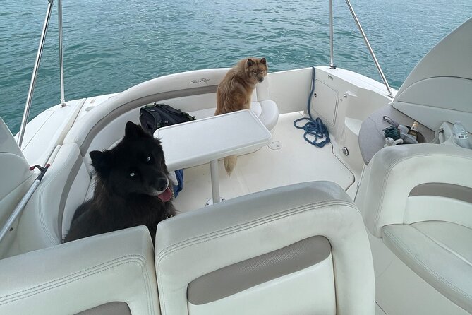 Chicago Private Boat Rental Review - Meeting Point and Transportation Details