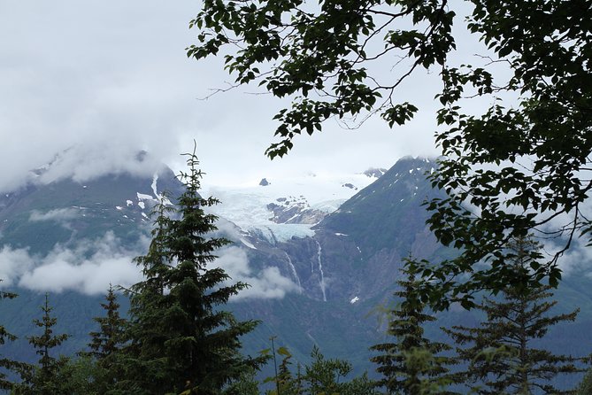 Chilkat Inlet Coastal Hike in Haines - Exploring the Alaskan Rainforest