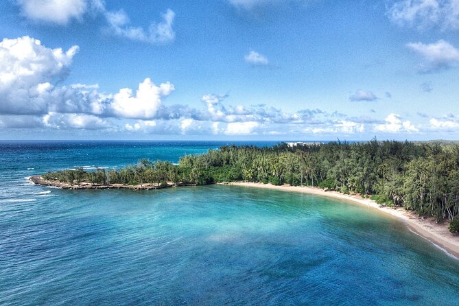 Circle Oahu Island Private Tour With Daily Chauffeur - Comfortable Transportation Options