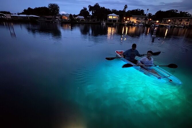Clear Kayak Manatee Viewing Tour Review - What to Expect From Your Tour Experience