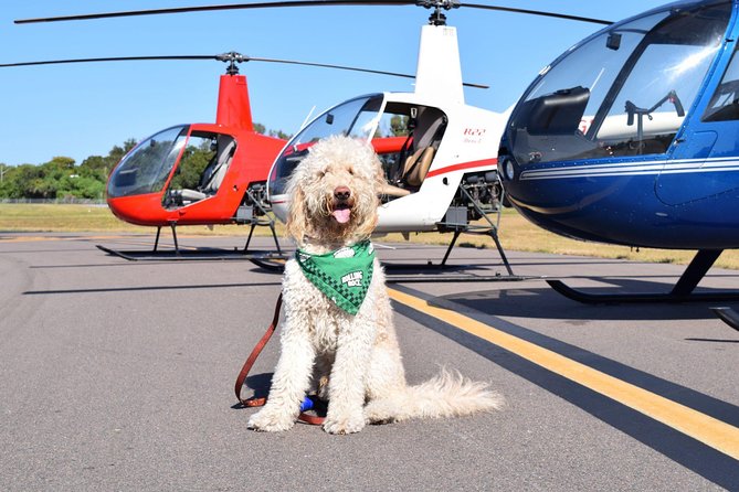 Clearwater Beach Helicopter Tour Review - Booking and Pricing Details