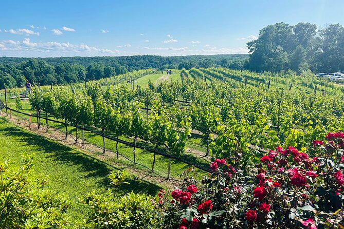 Dahlonega Wine & Dine Private Tour From Atlanta - Pricing and Booking