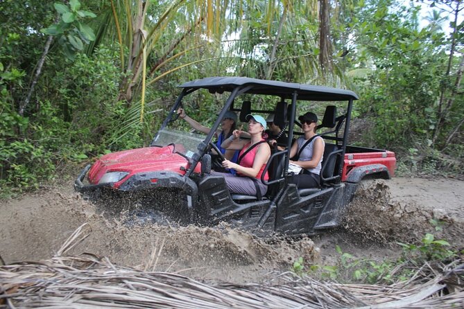 Double Buggy From Samaná